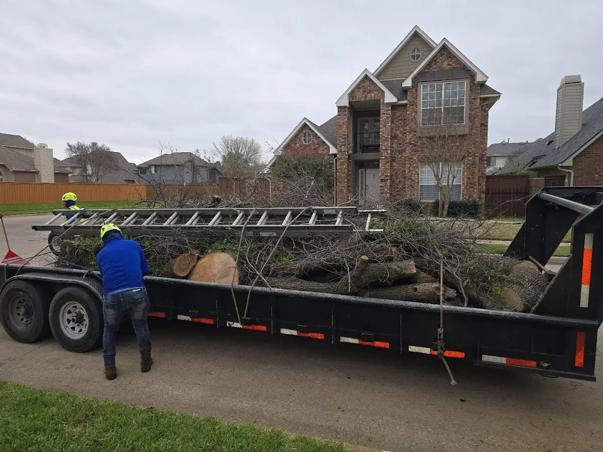 Expert Lot Clearing with proper safety equipment in Cecilia